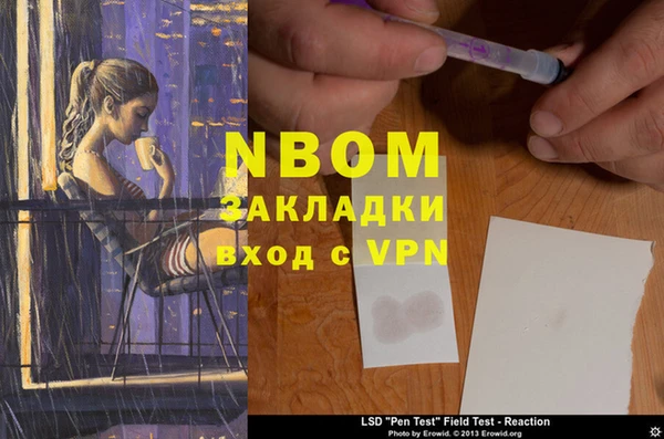 гидра Аркадак
