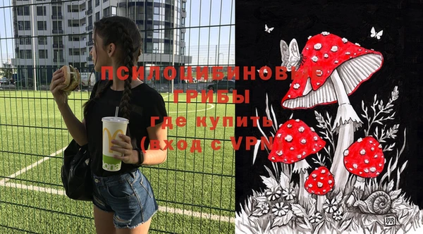 ГАЛЛЮЦИНОГЕННЫЕ ГРИБЫ Армянск