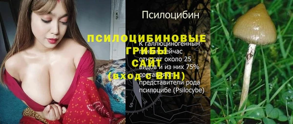 ГАЛЛЮЦИНОГЕННЫЕ ГРИБЫ Армянск