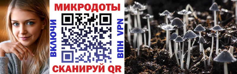 Псилоцибиновые грибы Psilocybine cubensis  Купить где  Кемь 